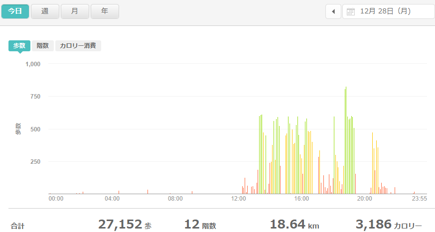 fitbitログより 運動データ2020年12月28日分