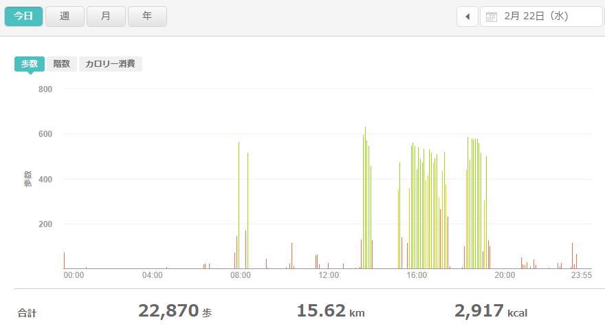 fitbitログより 運動データ2023年2月22日