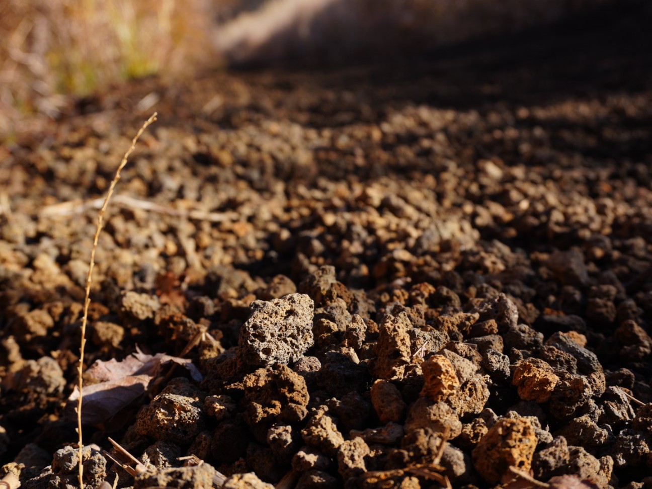 f:id:unknown555:20251213212917j:image