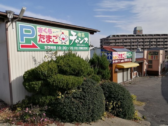 f:id:watto:20191215102048j:plain f:id:watto:20191215102048j:plain