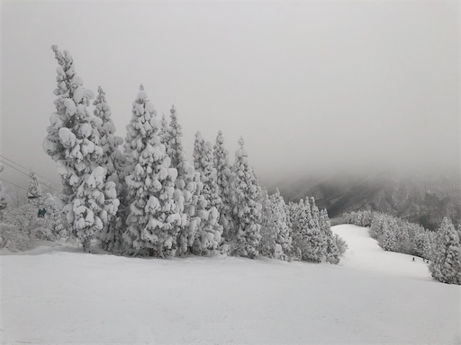 f:id:yukinekokei:20210104011209j:image f:id:yukinekokei:20210104011209j:image