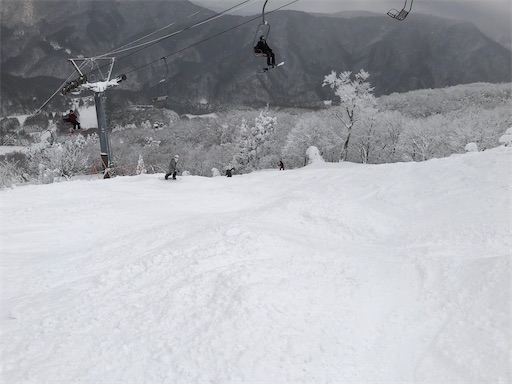 f:id:yukinekokei:20210104011748j:image