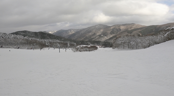 f:id:yukinekokei:20210104165234j:plain