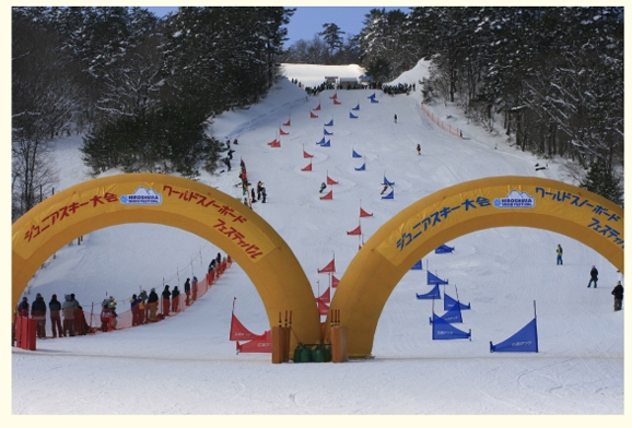 f:id:yukinekokei:20210118082103j:plain