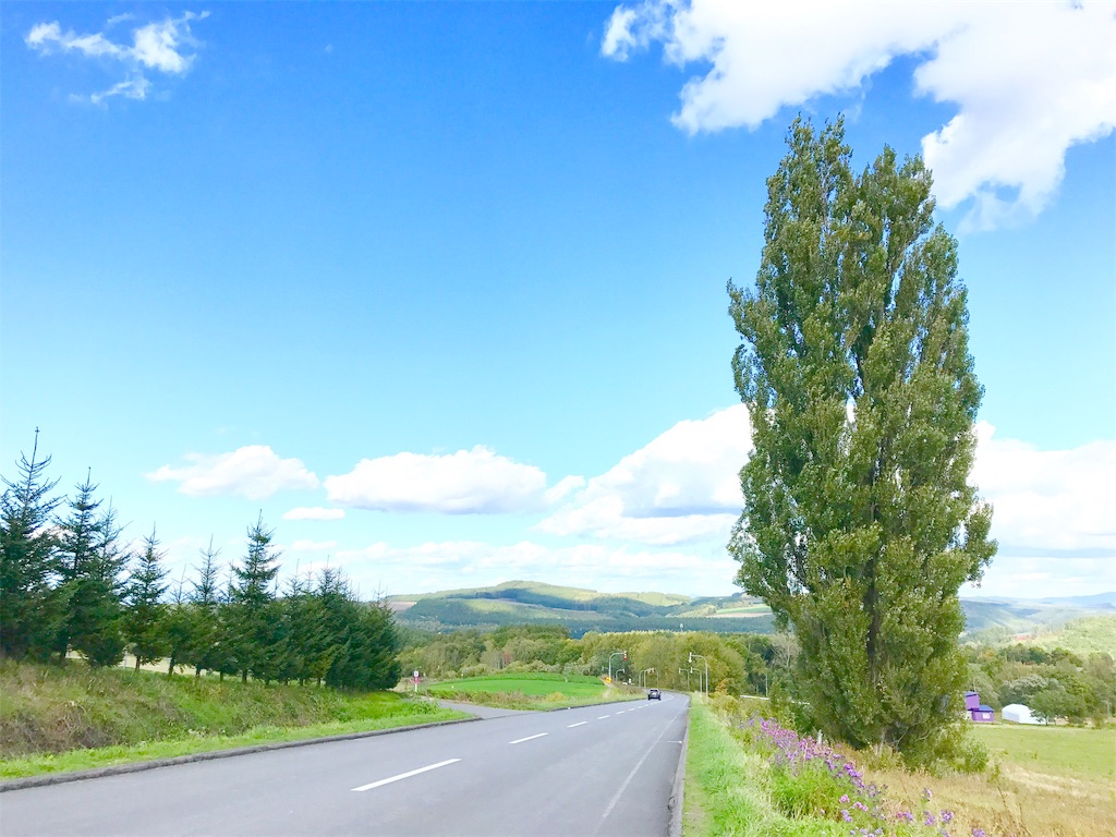 f:id:yuko-k-ami:20190620010500j:image f:id:yuko-k-ami:20190620010500j:image