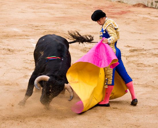 Juli, El; bullfighting