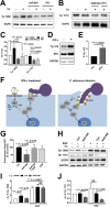 FIG 5