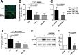 FIG 3