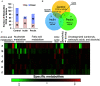 Figure 7A is a stacked bar graph, plotting Number of Metabolites P F O S versus Vehicle, ranging from 0 to 140 in increments of 20 (y-axis) across control, inulin, and pectin (x-axis) for up and down. Figure 7B is a Venn diagram with three circles. The circle on the left is labeled, Inulin: P F O S versus vehicle, the circle on the right is labeled, Pectin: P F O S versus vehicle with 56 specific metabolites, and the circle on the top is labeled control: P F O S versus vehicle. At the center, the intersection area is labeled, Core: 23. Figure 7C is a heatmap, plotting lowercase a to lowercase f (rows) across Amino acid metabolism, Nucleotide metabolism, Fatty acid metabolism, Citric cycle, Dipeptide, Steroid, and Uncategorized (carbonyls, carboxylic acids, and alcohols) (columns). A color scale depicts specific metabolites ranges from negative 0.5 to 0.5 in increments of 0.5.