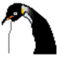 penguin_x penguin_x