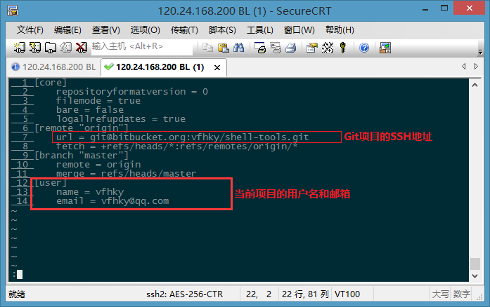 当前Git项目的配置文件