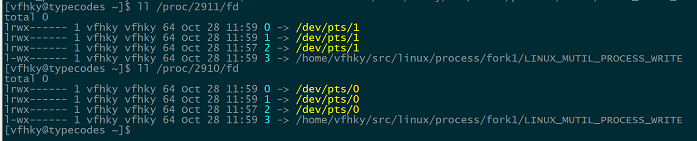 ll /proc/2910/fd命令查看进程表项中的文件描述符