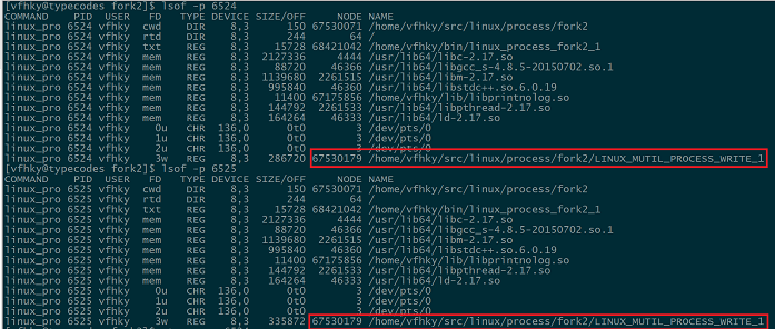 lsof命令查看进程打开的文件