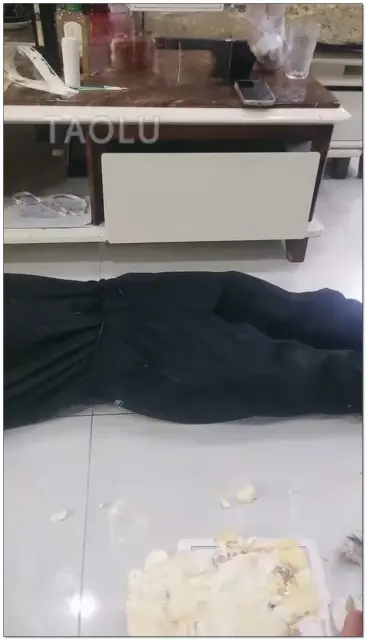 【Audrey、雪】给狗子过生日