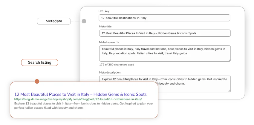 shopify blog metadata