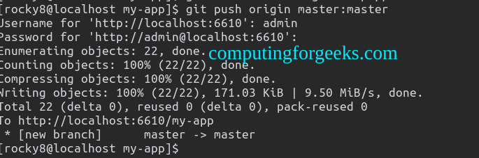 Install and Use OneDev 4