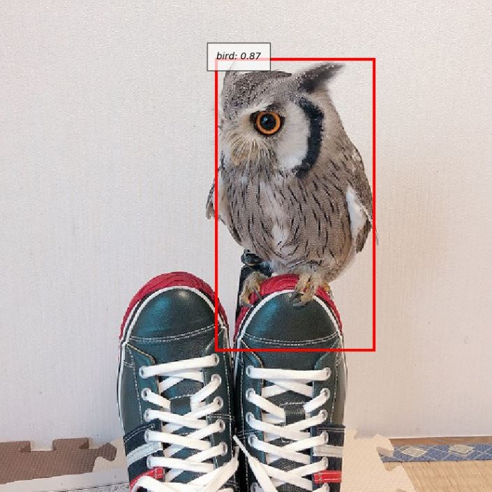 物体検出（Yolo）