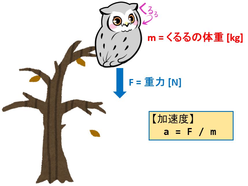 ニュートンの運動方程式