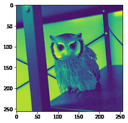 einopsで画像処理