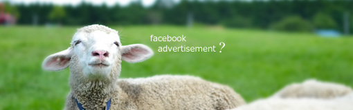 Facebook広告を出稿してみた〜驚くほど細かくできるターゲット設定とその結果〜