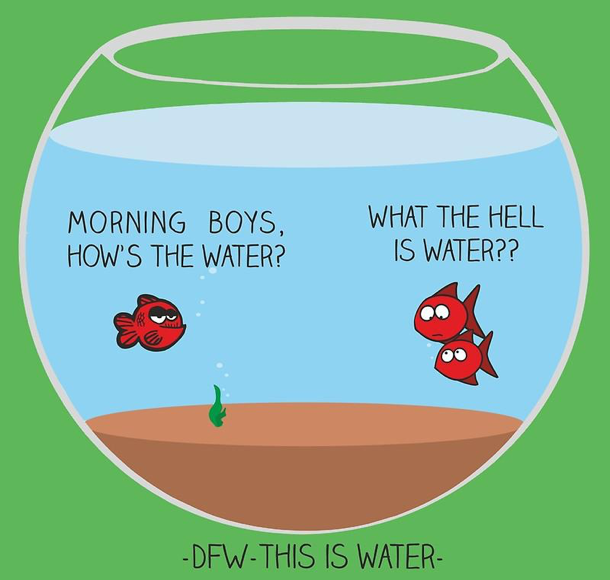 David Foster Wallace This Is Water