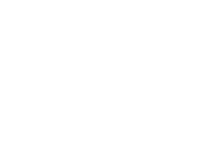 Climate Partner logo