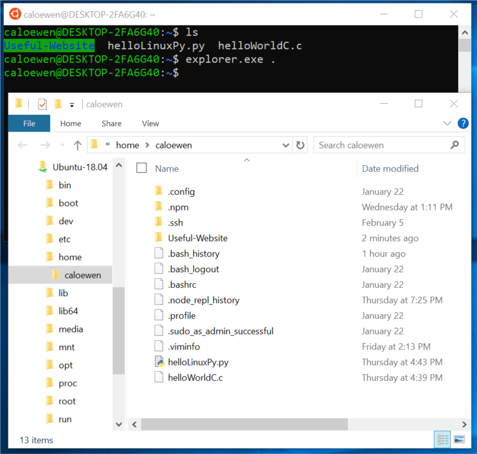 Accessing Linux distro filesystem from Windows