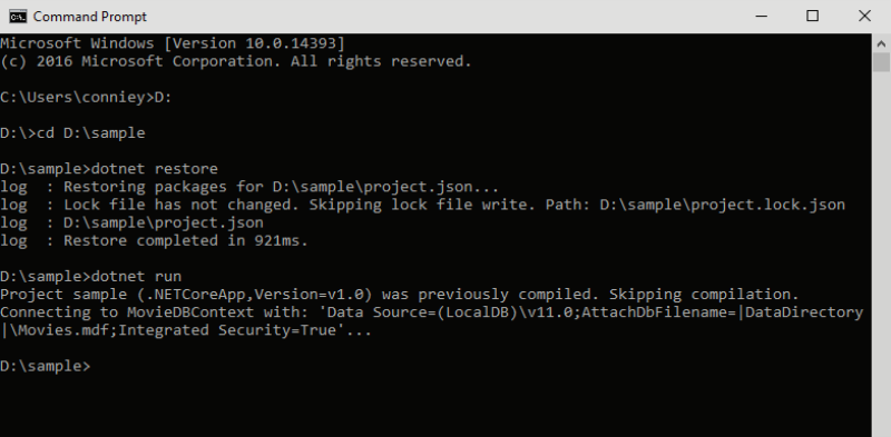 `dotnet run` console output