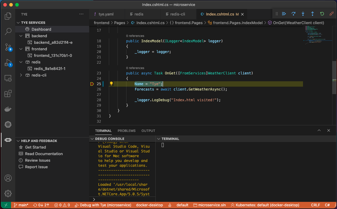 Debugging with the Tye extension