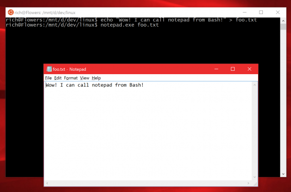 Open Notepad from Bash