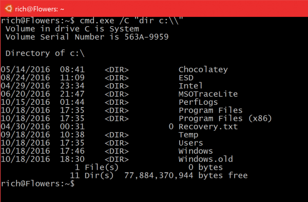 Cmd 'dir' from Bash