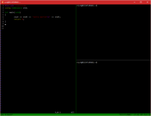 5-vim