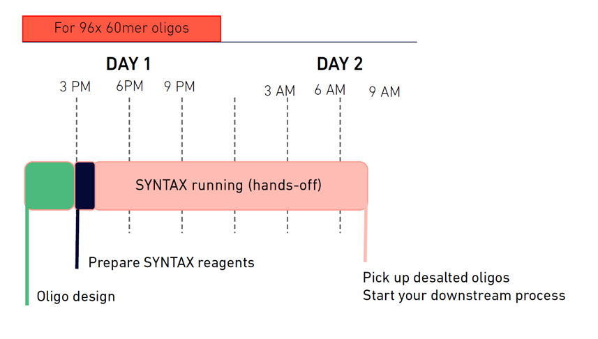 SYNTAX speed timeline