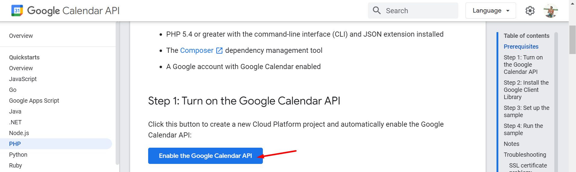 Google Calendar API Page