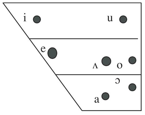 There are seven contrastive vowels, /i, e, a, 9, A, 0, u/, and three phonetic variants, [1, 9, u] (Urua 2000). These variants, which have a restricted distribution in C-C position, are in complementary distribution with /1, 0, u/, respectively, although other dialects (e.g. Ibiono) attest contrast (Essien 1990). 