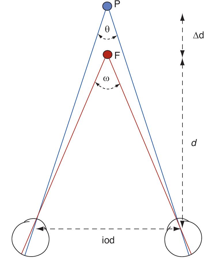 Figure 2 The geometry of binocular disparity. The two eyes view a point P while fixating point F, at distance d from the observer. The distance between F and P is given by Ad and the interocular distance is iod. Angles w and 0 give the angular subtense of points F and P, respectively. 