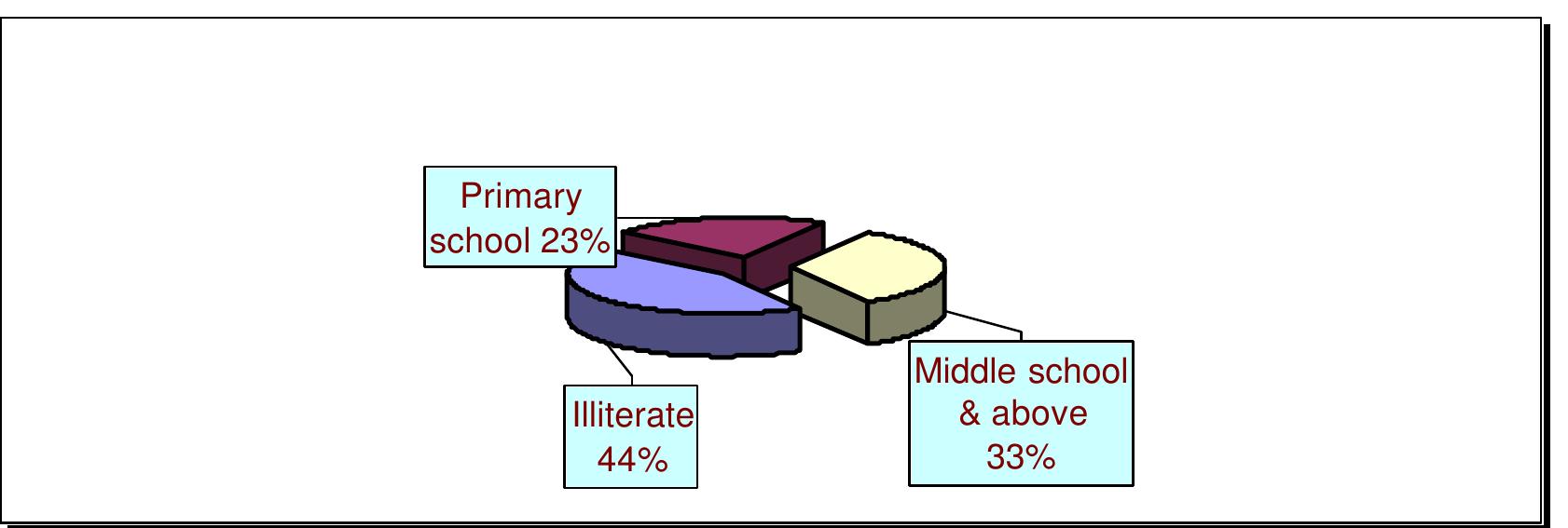 Graph 1.  As far as vocational skills are concerned, the labour force in India compares unfavourably to other countries. Graph 2 below shows that only 5 per cent of the young Indian labour force (aged 20-24), received formal vocational training, whereas this indicator in industrialized countries varies between 60 and 80 per cent. In the Republic of Korea, it is as high at 96 per cent, while in Mexico, it is 24 per cent, etc. Although the level of educational attainment of the Indian workforce is low, the educated people constitute 69 per cent of the total unemployed. 