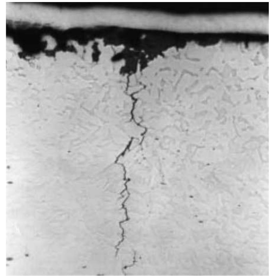 Figure 3-2 Intergranular SCC in pipelines under high-pH conditions (magnification: 250 times). (From National Energy Board [1996a].) 