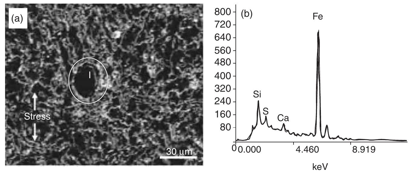 Conversely, inclusions enriching silicon are easy to deform, effectively relieving the residual stress [Garet et al., 1998]. Moreover, SiO2-enriching inclusions are sphere-shaped and are prone to be in a stable state. There is a relatively small local lattice deflection around these types of inclusions. Thus, there is usually no crack associated with inclusions enriching silicon, as shown in Figs. 6-3 and 6-4. 