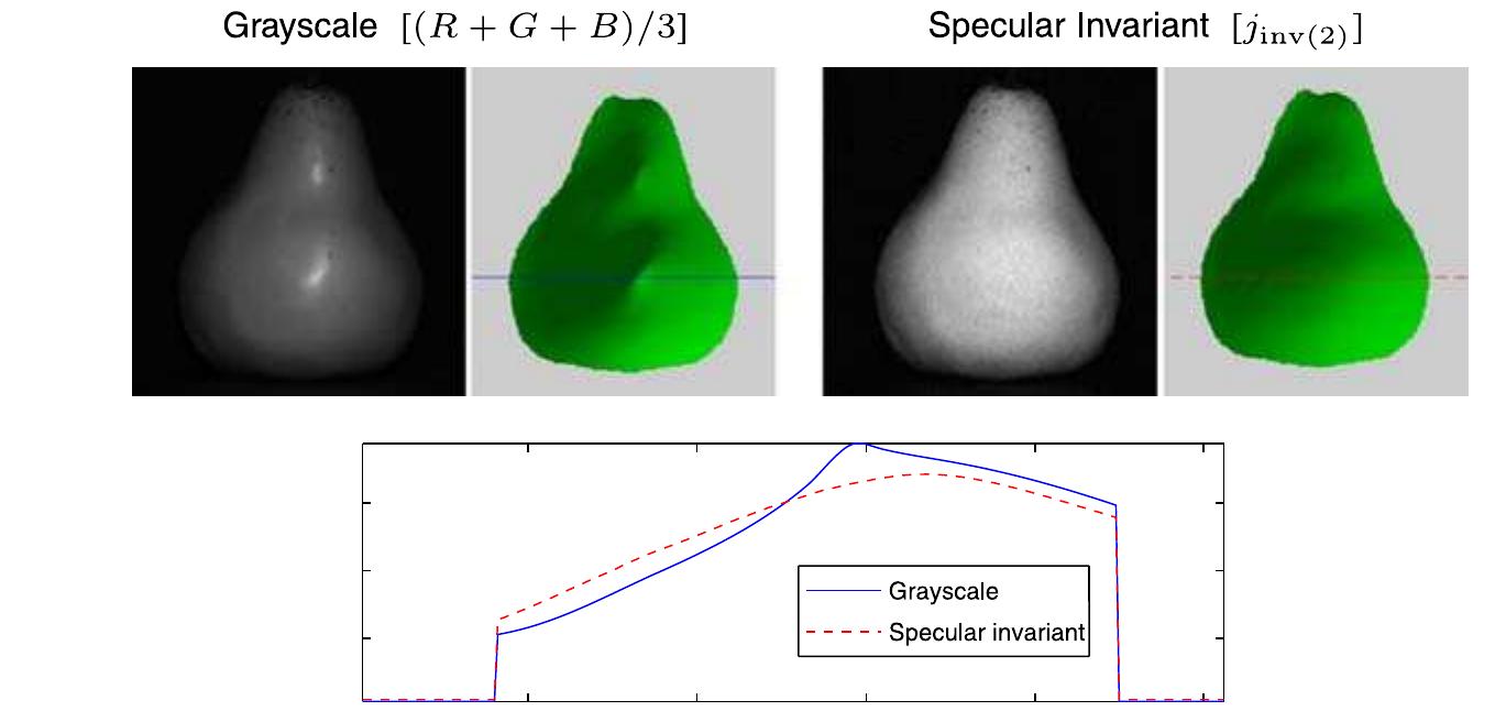 of a Lambertian diffuse component and an undefined spec- ular component with limited angular support. When four point-source illuminations are available, specular measure- ments can be treated as outliers and discarded, provided that the illumination directions are far from one another relative to the angular extent of the specular lobe. (This ensures that the specular reflectance component is zero for three of the four observations of each surface point.) Barsky and Petrou (2003) refine this technique by using color information to improve the detection of specular measurements. Like the original work, however, specular measurements are treated as outliers, and the specular component is assumed to have limited angular support.  Ffs(@) in (10)) and therefore requires no additional assump- tions regarding the specular behavior of a surface. In this sense, this approach to photometric stereo is related to other recent reconstruction methods that exploit physical prop- erties such as reflectance isotropy (Lu and Little 1999), reciprocity (Magda et al. 2001; Zickler et al. 2002), the constancy of radiance in free space (Magda et al. 2001; Koudelka et al. 2001), and light transport constancy (Davis et al. 2005a) to enable accurate reconstructions of very broad classes of surfaces. An important difference, however, is that the photometric stereo method described here requires a simple acquisition system and is quite easy to implement.  of a Lambertian diffuse component and an undefined spec- 