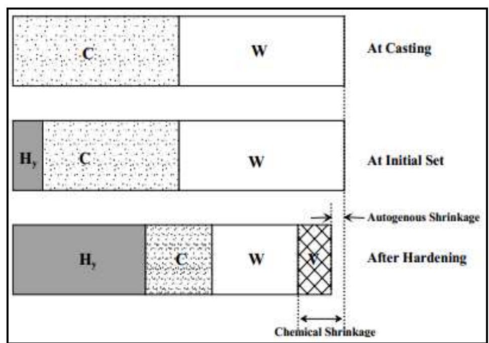 A graphical representation of concrete’s internal composition change as a result of hydration of cement particles has been shown in Fig. 2  Figure 2: Hydration Reaction Imparting Shrinkage Phases [2] 