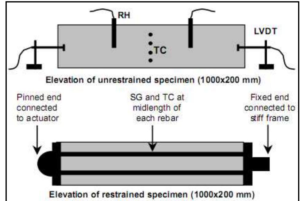 Autogenous Linear Deformation: Traditionally, there are two main approaches used to detect the autogenous shrinkage strains i.e. Free and Restrained Shrinkage testing. [5] has proposed a typical layout scheme for such measurements as shown in Fig. 4 