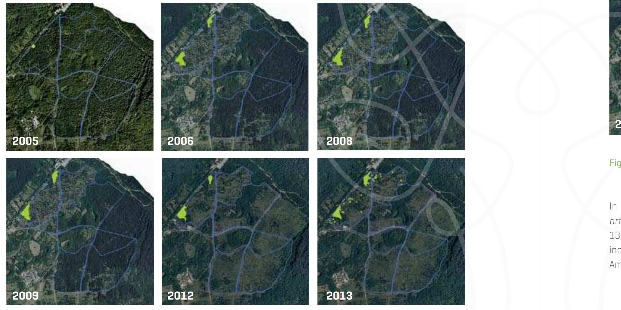 Figure 13.11 shows the distribution of Ailanthus altissima from 2005 [before the intervention of deforestation and grazing} through to 2013. One can note the increase in this species distributed mainly along the roadside leading to the border- crossing where one can encounter both single individuals and large blocks completely occupied by this species. A total of 40 punctiform stations were measured, for a total of 165 trunks, and 3 stations with coverage of between 60 and 75  Figure 13.11: Monitoring of Ailanthus altissima Mill. from 2005 to 2013 in the study area  Senecio inaequidens, with very few individuals present in 2005, has spread throughout the study area (Figure 13.12]. It is most abundant at the points where materials were accumulated during the tree clearance phase and which constitute a very fertile substrate. 86-point stations were sampled for a total of 624 individuals and two areas 