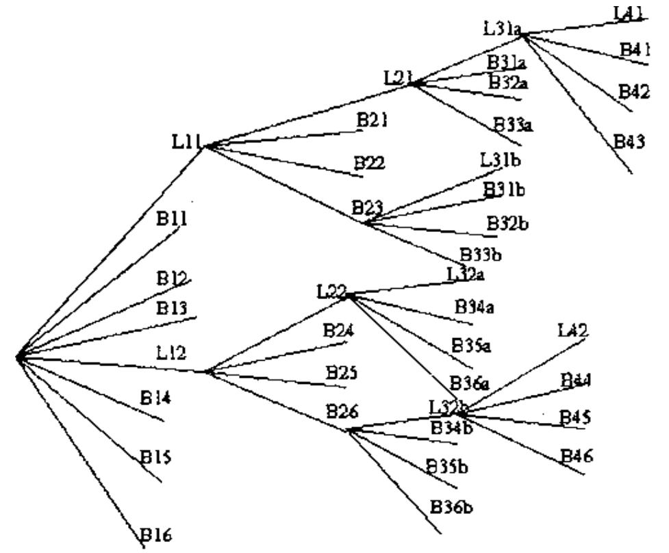 Image decomposition: As in TSWT, DITCWT depends on calculating the energy in the sub-bands images to continue the cascading decomposition. But, DTCWT instead of decomposing the image to 4 sub-band images, each texture image was decomposed to 8 sub images (2 low pass, and 6 band pass). The next level of decomposition was to that sub-images which had a significant value of energy -using same equation (3) - for extra 8 sub images. Figure (9) illustrates an example for one texture image [15].   Figure (9): Decomposition example for a texture image using DITCWT. 