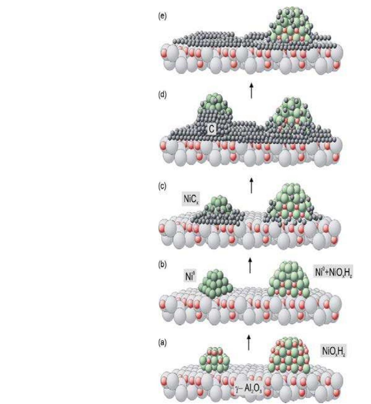 MIOCULAIIOIT UL OUTIAUG PIULC O08, TT IUITIGUGTE UF IG CAINUTE WIHORGTOS  The surface becomes decorated with  carbon species (working catalyst, phase 1; 10C). Long  methanation under fixed bed-conditions results in a severe carbon deposition and C-whiskers formatio  followed by a detachment of Ni particles image; Fig. 9). It was possible to remove t particles (C-removal: Fig. 10e). Hansen e support. The study support this and in  rom the support (working catalyst, phase 2; Fig. 10d and TE he deposited carbon easily, which results in partial loss of the | al. (2002) described a mechanism of a carbon migration to th addition showed that the NisC and/or the NiCx are observe  described compatibility of the Ni compounds with the y- AlzO3 support (see Table 6), we can speculate th  one of the most probable mechanism for  he detachment of the Ni particles from the surface appears dt  to the lattice mismatch between the smaller Ni° particles and the y -AlzO3 forming an additional th  interface composed by mixed Ni-NiCx or  NisC. The existence of the M-M3C phase was already shown |  Tanaka et al. (1992). The binding between nickel particles and the support is weakened, and smaller I clusters can be easily removed from the surface, leading to the carbon whiskers formation. 