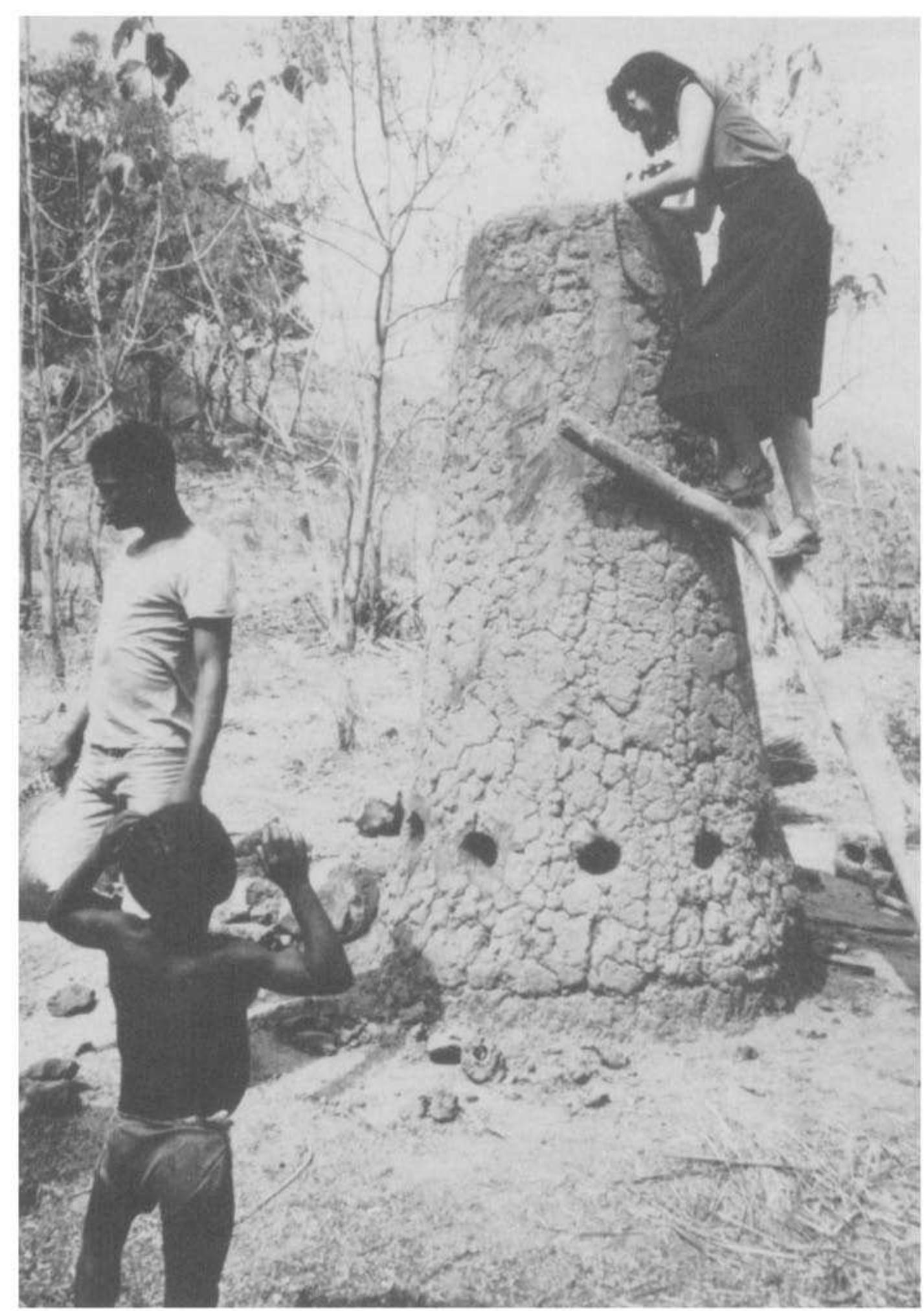 Figure 3. Repaired (induced-draught) smelting furnace at Banjeli, Togo  meant that its use easily remained cost-effective and was preferred to coal in the African— European interactions of the Atlantic world. In parts of Africa where large iron ore deposits attracted the entrepreneurial attention of European colonizers, the issue of fuel prevented the wholesale transfer of European technology and thus exploitation of local resources (as, 