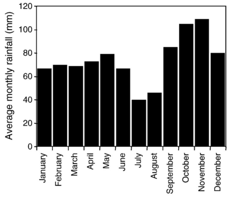 Fig. 2. Collazzone area. Average monthly rainfall for the period between 1921 and 2001 for the Casalina rain gauge.  The reconnaissance inventory was prepared by interpreting landslides observed on 1085 pancromatic, vertical aerial photographs flown in the period from 1954 to 1956, at 1:33,000 scale (Table 1). Interpretation of the aerial photographs was locally aided by field  checks, and was carried  out  by a team of two geo-  morphologists who worked simultaneously on adjacent  strips. Inasmuch as side-  ap between the photographs  was 20-30%, a considerable part of the territory was analysed by both photo-interpreters. The landslide  information, originally p  sheets placed over the aerial  otted  on transparent plastic  photographs, was trans-  ferred to 35 topographic maps, at 1:25,000 scale.  Transfer of the landslid maps was accomplished  e in  formation to the base  by using a combined optical  and manual technique, aided by a large-format pho- tographic projector. The 35 quadrangles were then 