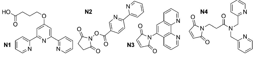 Figure 2. Nitrogen donor ligands used for bio-conjugation. 