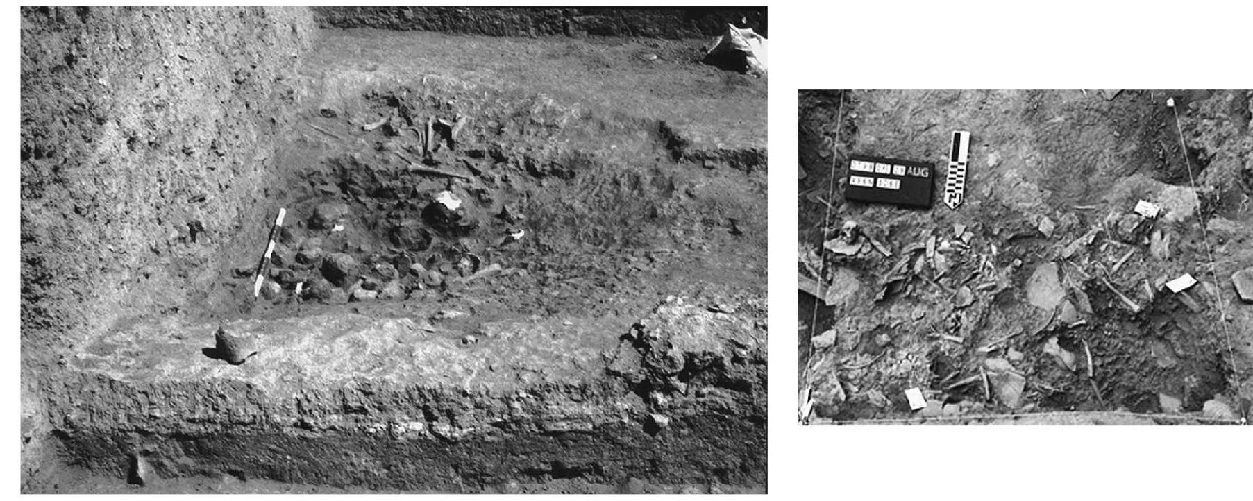 Figure 12. Death pit from Domuztepe (Carter 2012) 