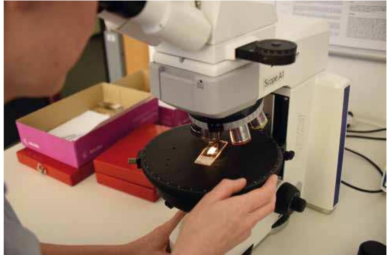 Petrography for thin section analyses applying polarised light microscopy 